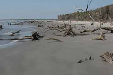 Shoreline of Caper's Island