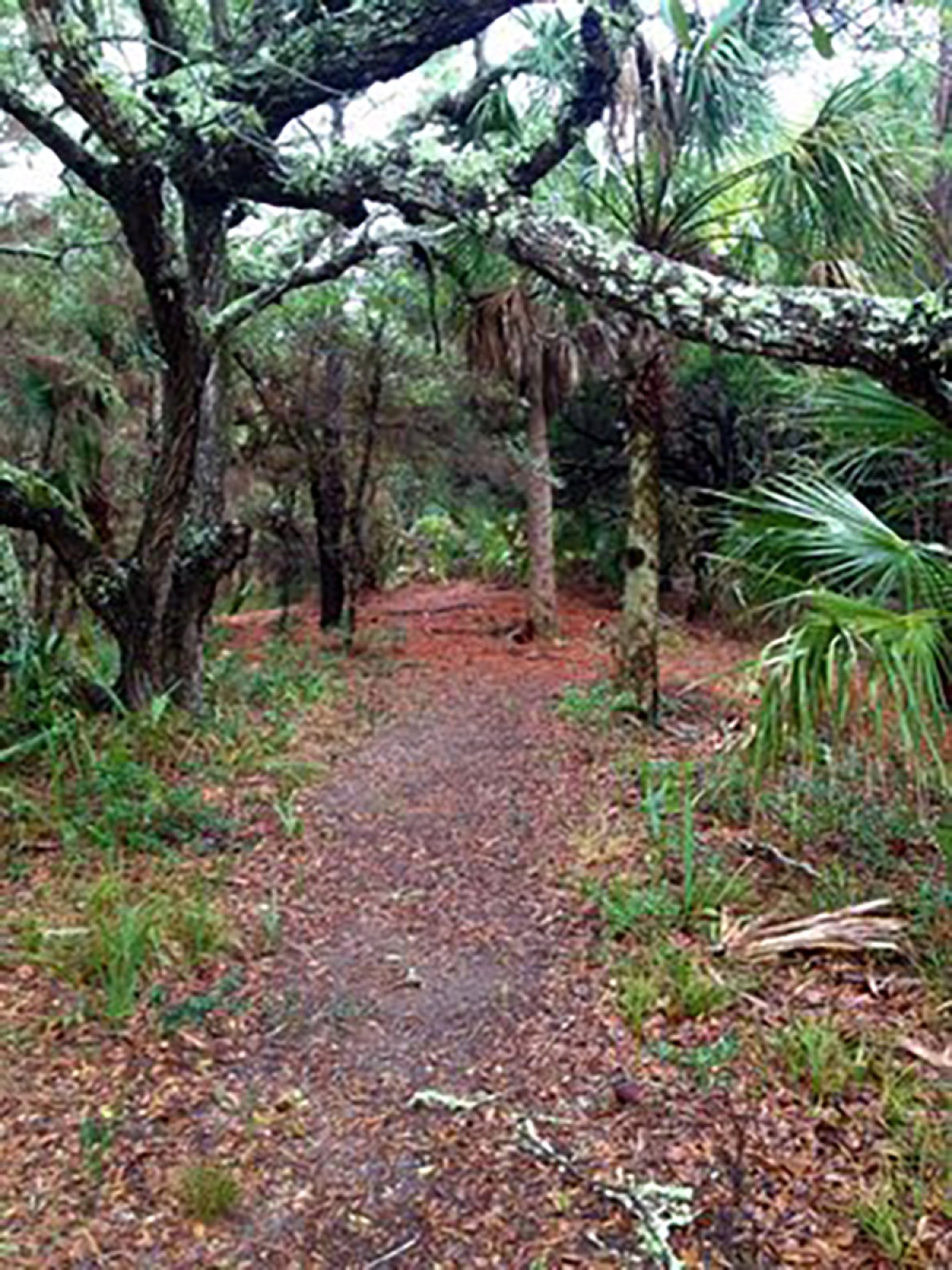 Barrier Island Eco Tours Charters & Eco Tours Charleston SC