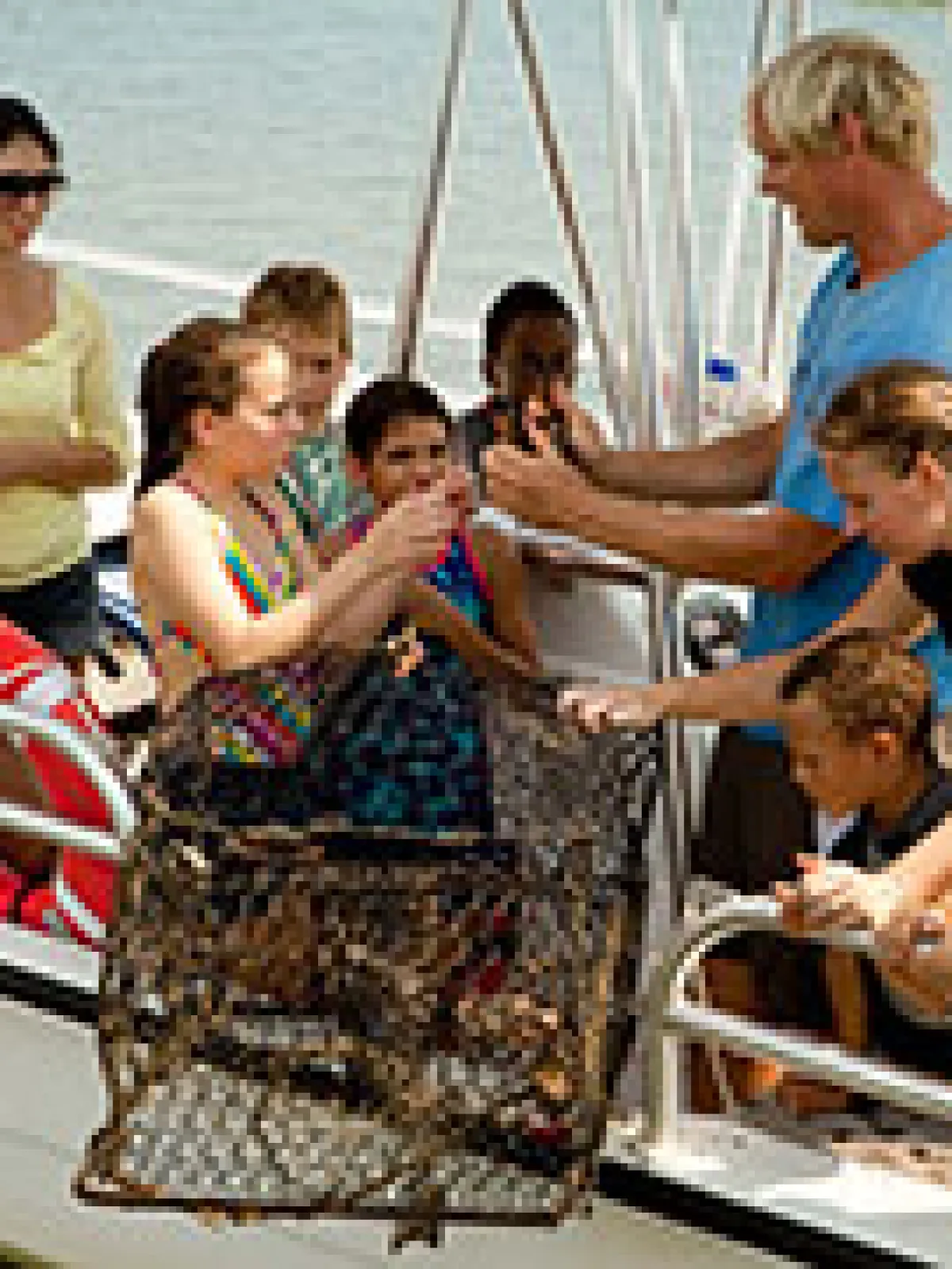Family looking at marine life in boat