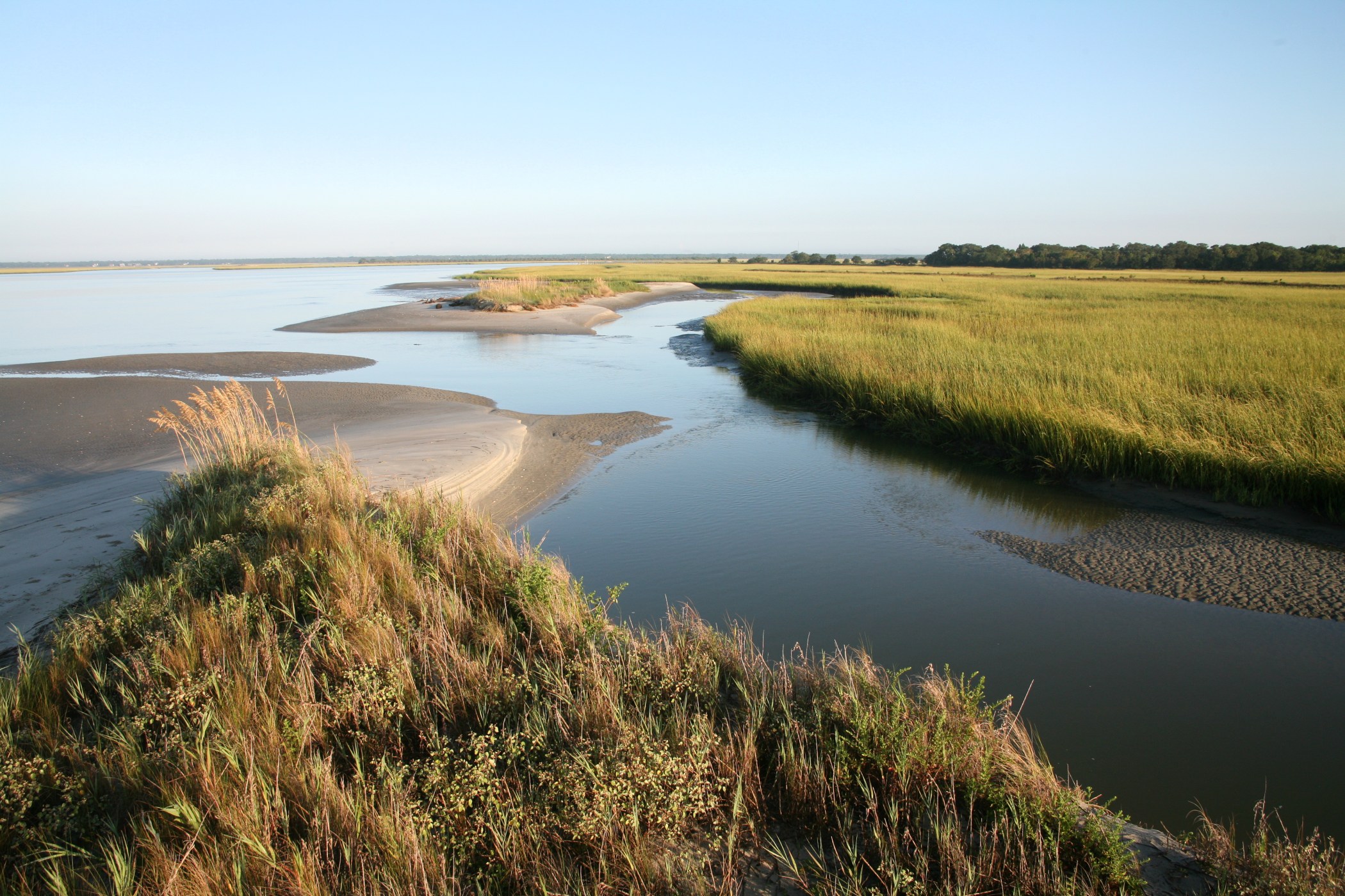 Barrier Island Eco Tours Charters & Eco Tours Charleston SC