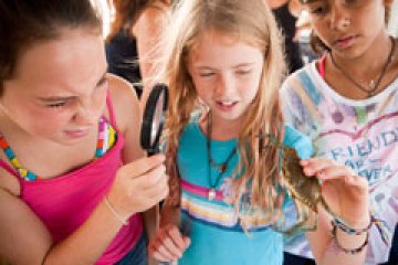 Three young girls looking at live blue crab