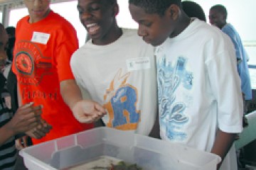 School kids looking at live marine animals in a tub