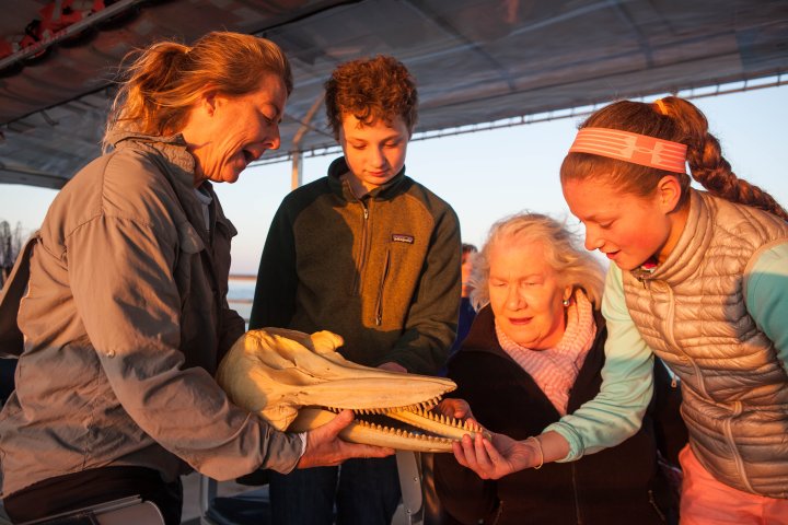 Guide showing guests skull of dolphin on boat tour