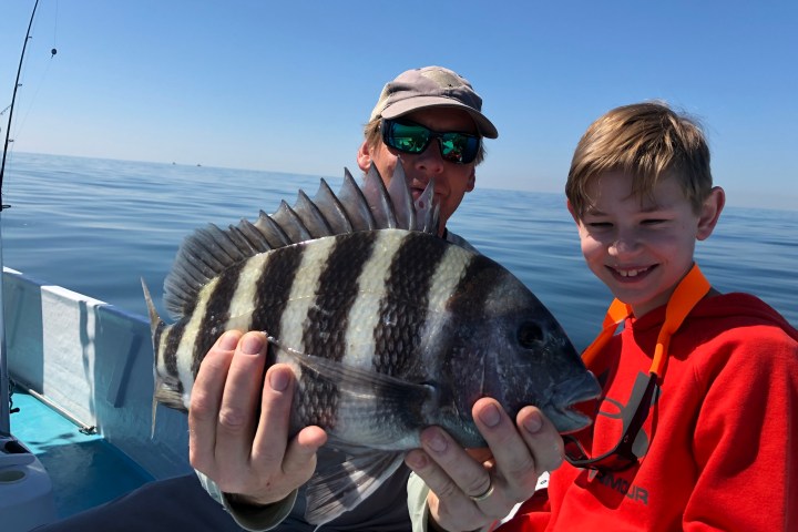 Man and child holding up sheepshead fish