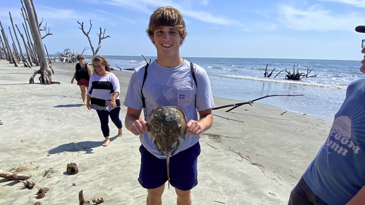 a group of people standing on top of a sandy beach