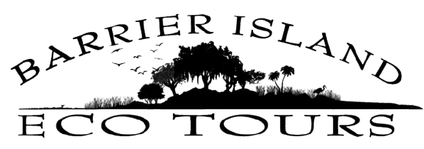Barrier Island Eco Tours