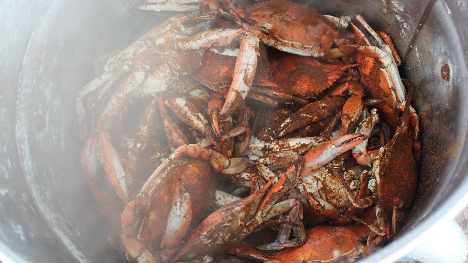 a cooked fish on a plate