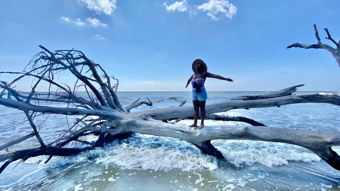 a group of people riding skis on a body of water