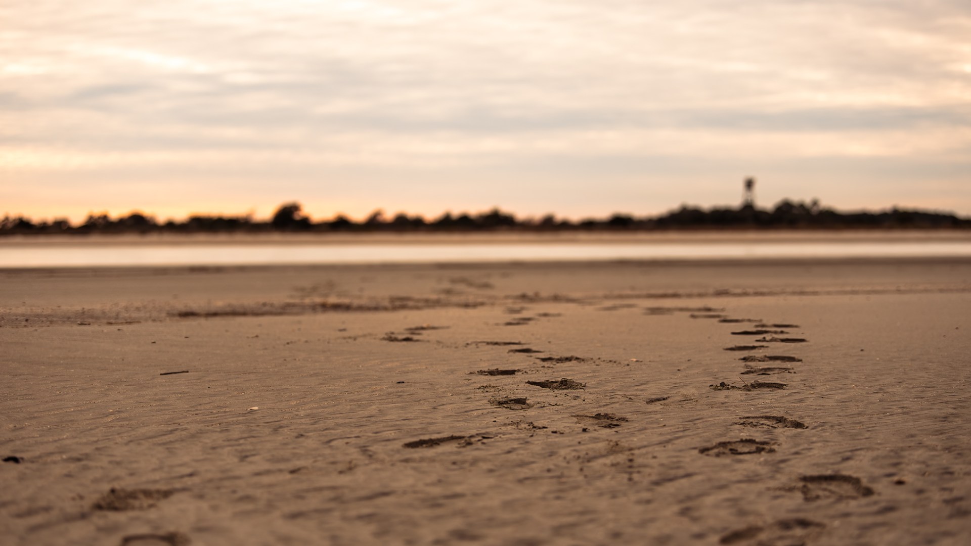 a sandy beach next to a body of water