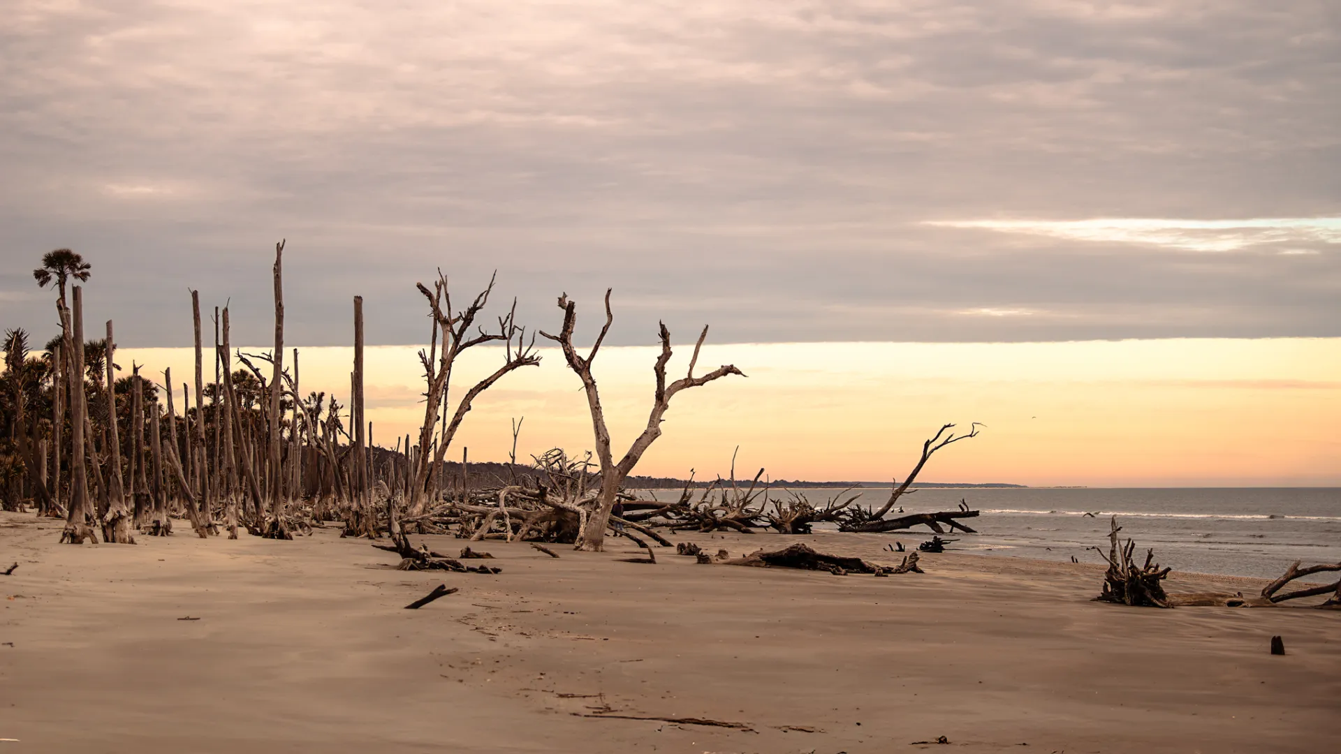 a group of people standing on top of a sandy beach