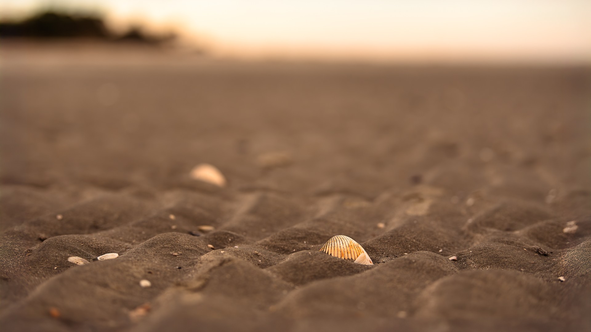 a close up of a beach