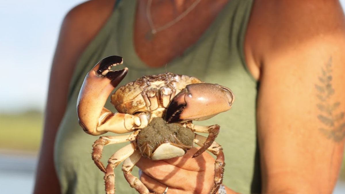 a person holding an animal