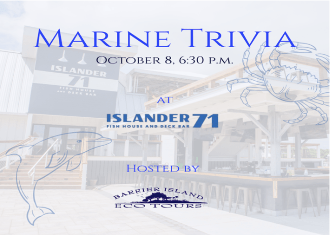 Marine trivia event at Islander 71 on October 8, featuring dolphin and crab illustrations.