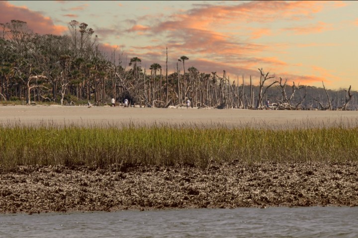 Coastal scene with beach, grassy area, driftwood, and a colorful sunset sky.