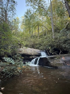Small waterfall in a forest with green trees and rocks.